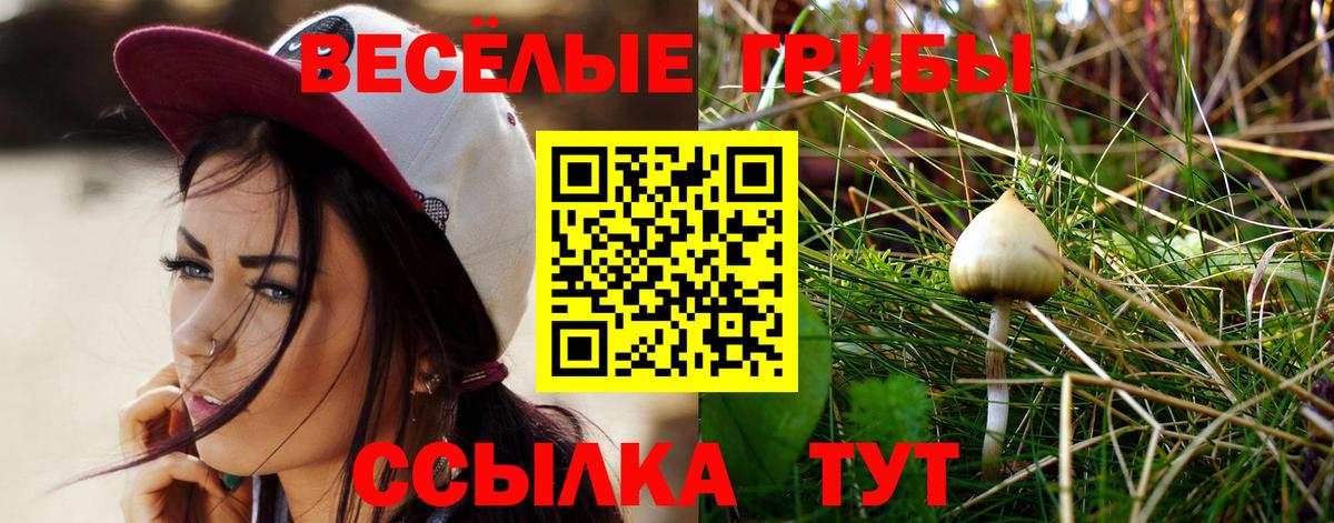 Заводоуковск  Псилоцибиновые грибы Cubensis  Вход с VPN 